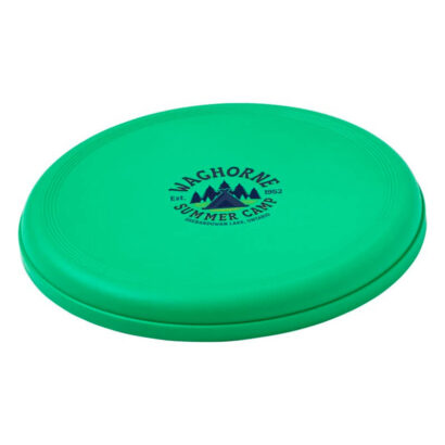 D 9 2 fresbee plastic 10032814
